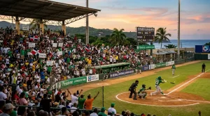 ligas-invernales-beisbol-apuestas-img